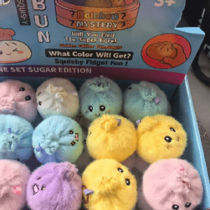 Plush Squishy Bun